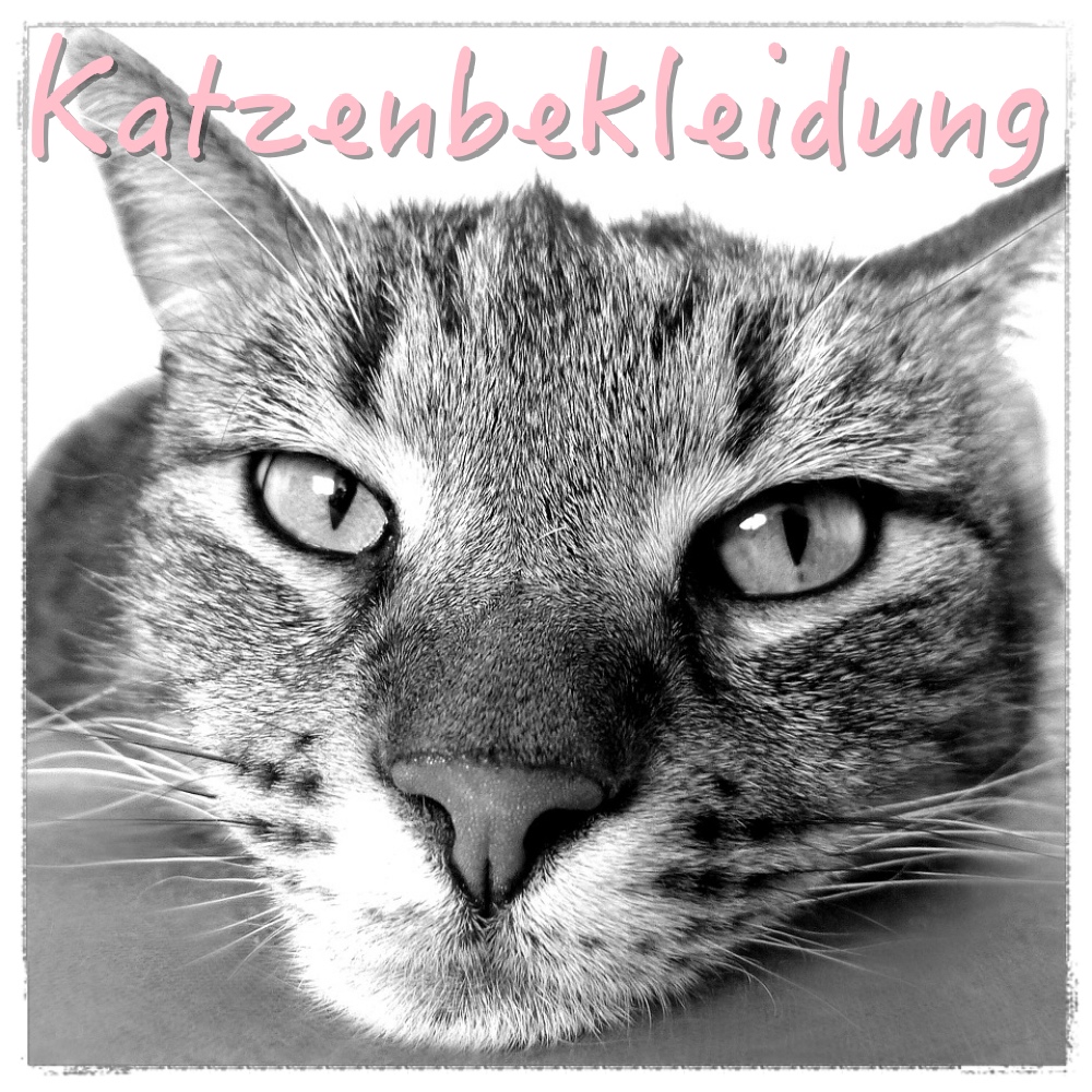 Katzenbekleidung mimis-modeshop